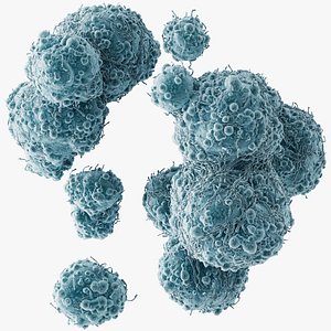 3D model Cancer Cells Brain 9