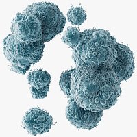 Cancer Cells Brain 9