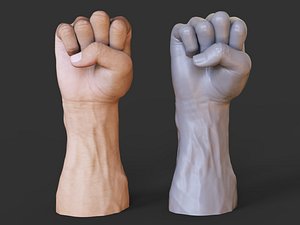 Male Hand Pose 11 3D model