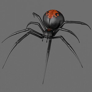 3D model Spider Black Widow