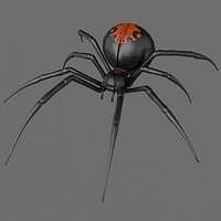 Spider Black Widow