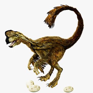 3D Raptor Oviraptor Fur Rigged 3D