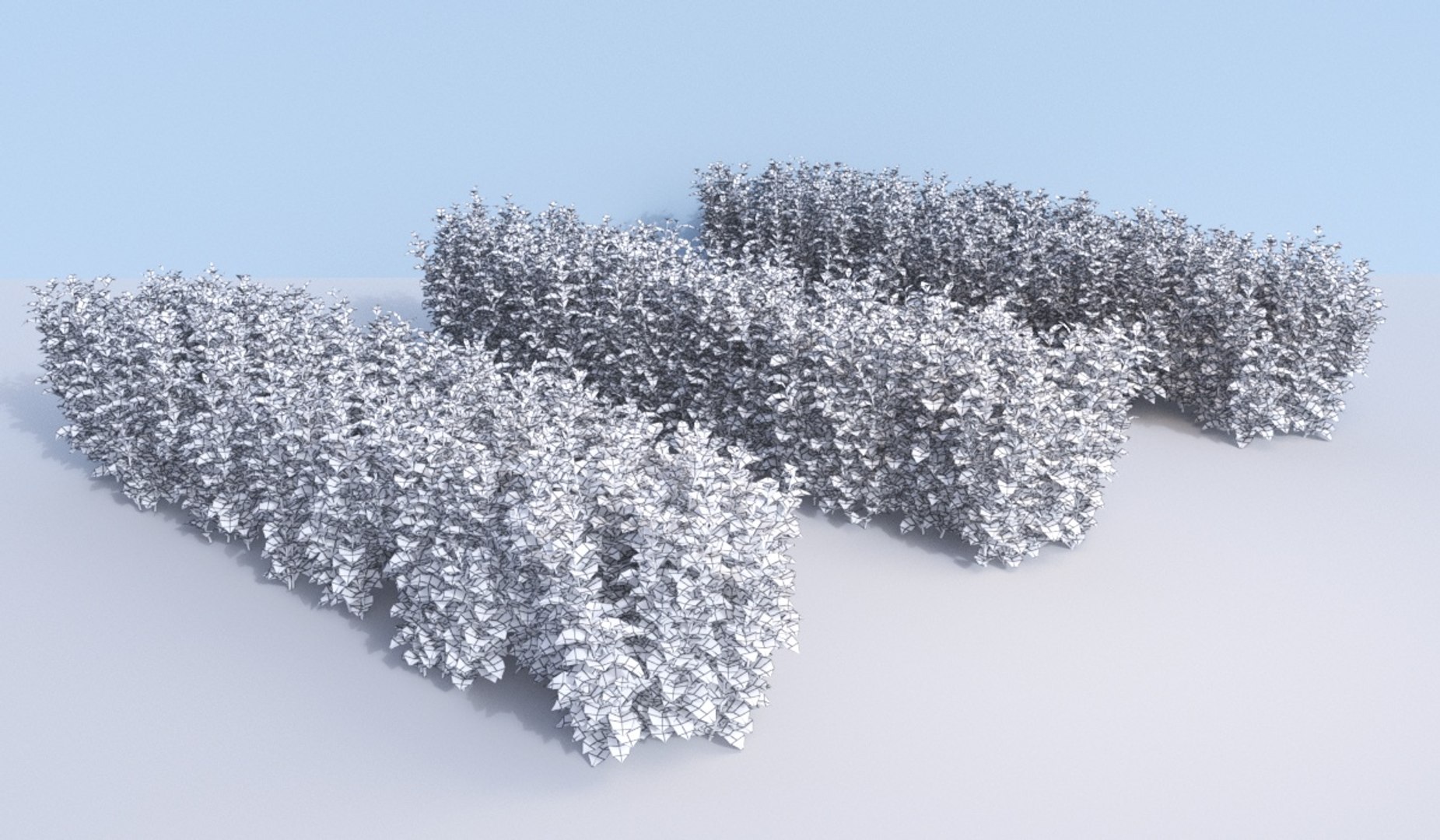 bushes ninebark physocarpus opulifolius 3D model https://p.turbosquid.com/ts-thumb/dv/kXr6tR/MgVjzB5r/hedge_a/jpg/1560777274/1920x1080/fit_q87/1792766fc434be895afad42c502aa4ab256928b2/hedge_a.jpg