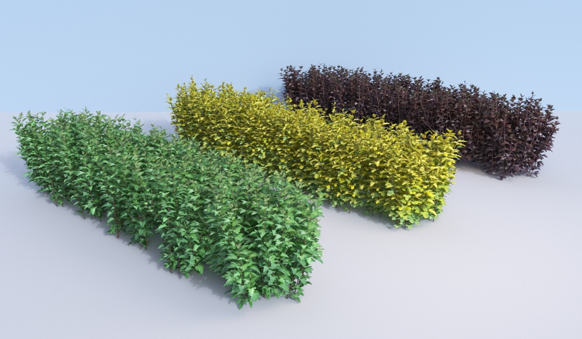 bushes ninebark physocarpus opulifolius 3D model https://p.turbosquid.com/ts-thumb/dv/kXr6tR/r1eDjlkY/hedge_4/jpg/1560777274/1920x1080/fit_q87/af03a3052a0fedcab2b197e6c49249cd85930e14/hedge_4.jpg