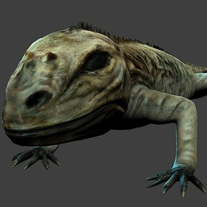 iguana 3d model