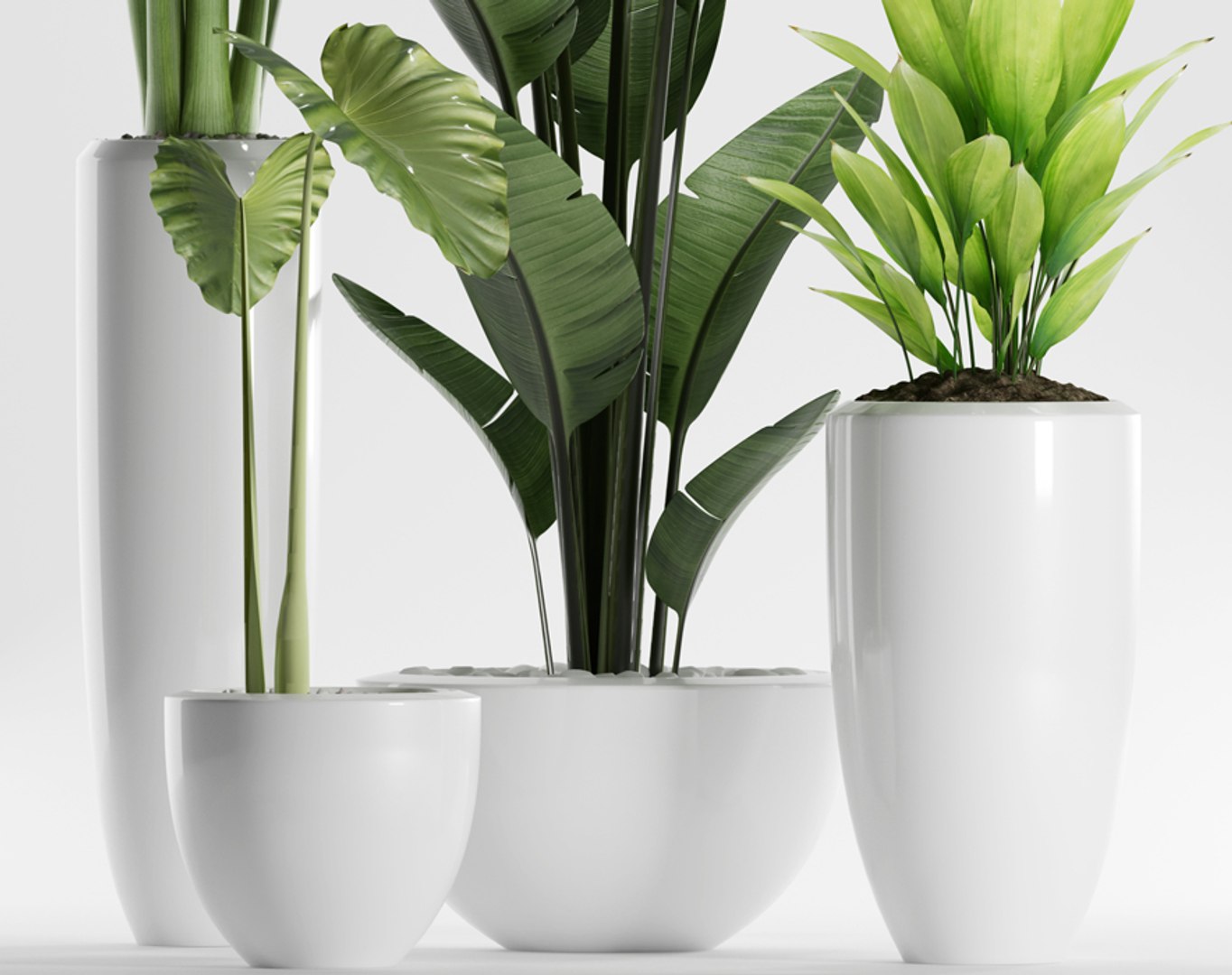 plants 199 indoor 3D model https://p.turbosquid.com/ts-thumb/dv/vTgIuA/9lbaL7kA/4/jpg/1570036923/1920x1080/fit_q87/20b92d4891a15332c1a1436efc4cee9aab16d8a2/4.jpg
