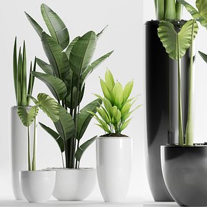 plants 199 indoor 3D model