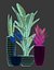 植物199