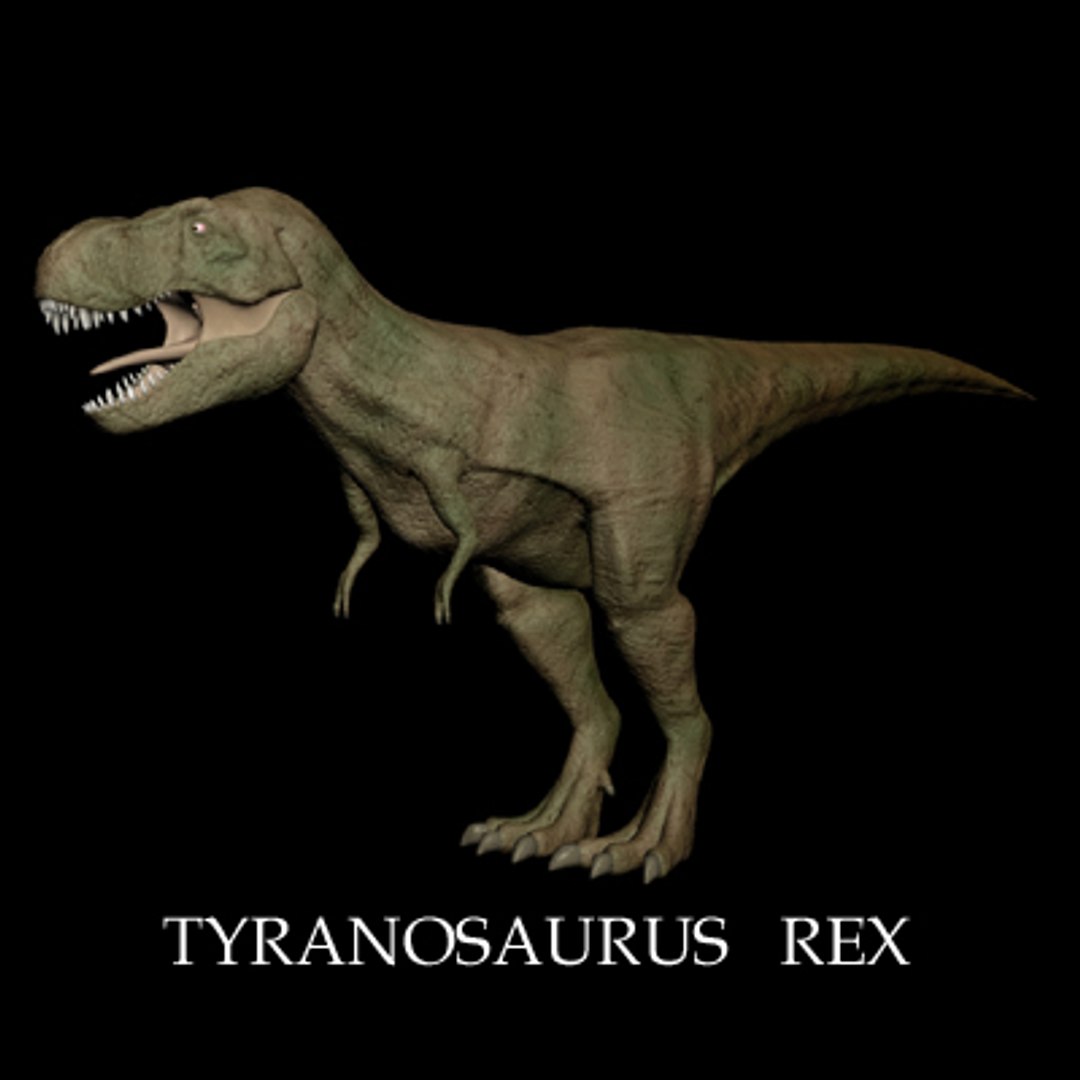 Tyranosaurus Saurus 3d Model