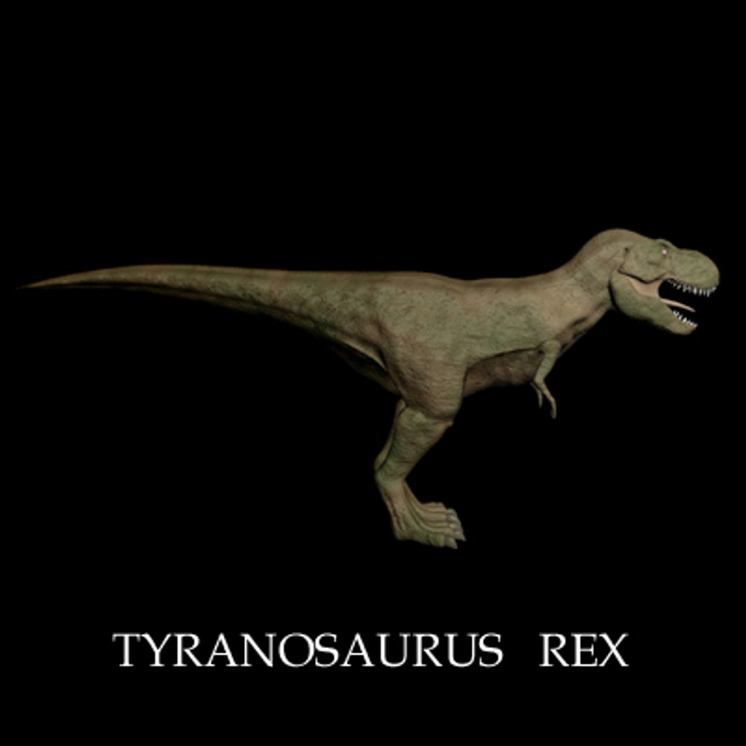 Tyranosaurus Saurus 3d Model