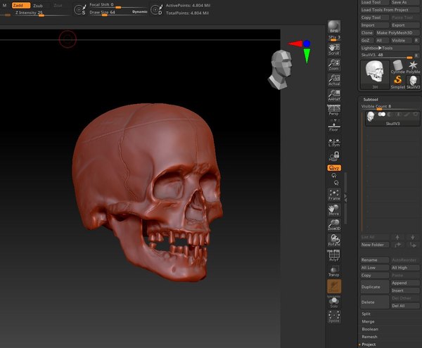 Skull v3 model - TurboSquid 1662687