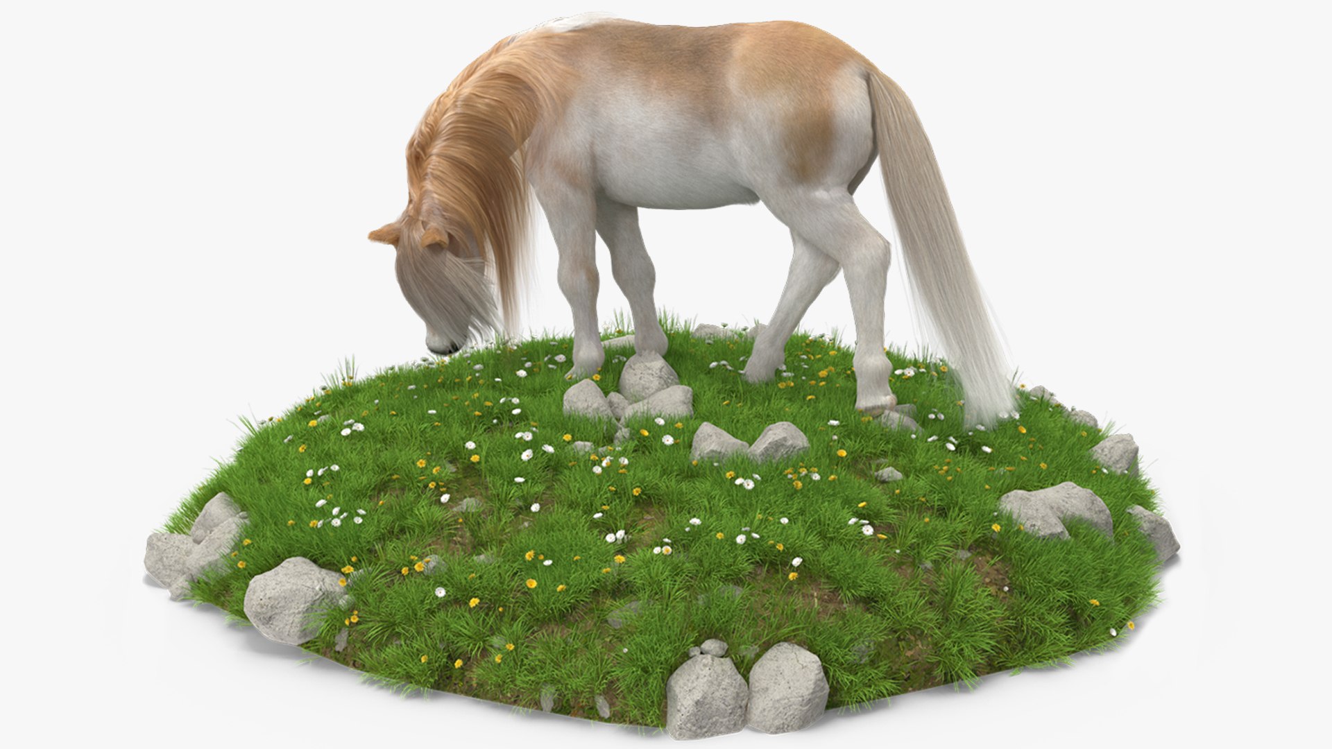 Pony with Long Mane Grazing in a Meadow Fur 3D model preview