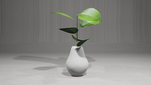 3D model Decorative Plants