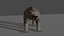 Smilodon