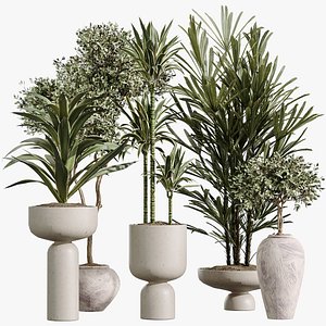 AV Indoor Plants Set 348 Olive Tree and Rhapis Excelsa Lady Palm and Warneckii Lemon 3D