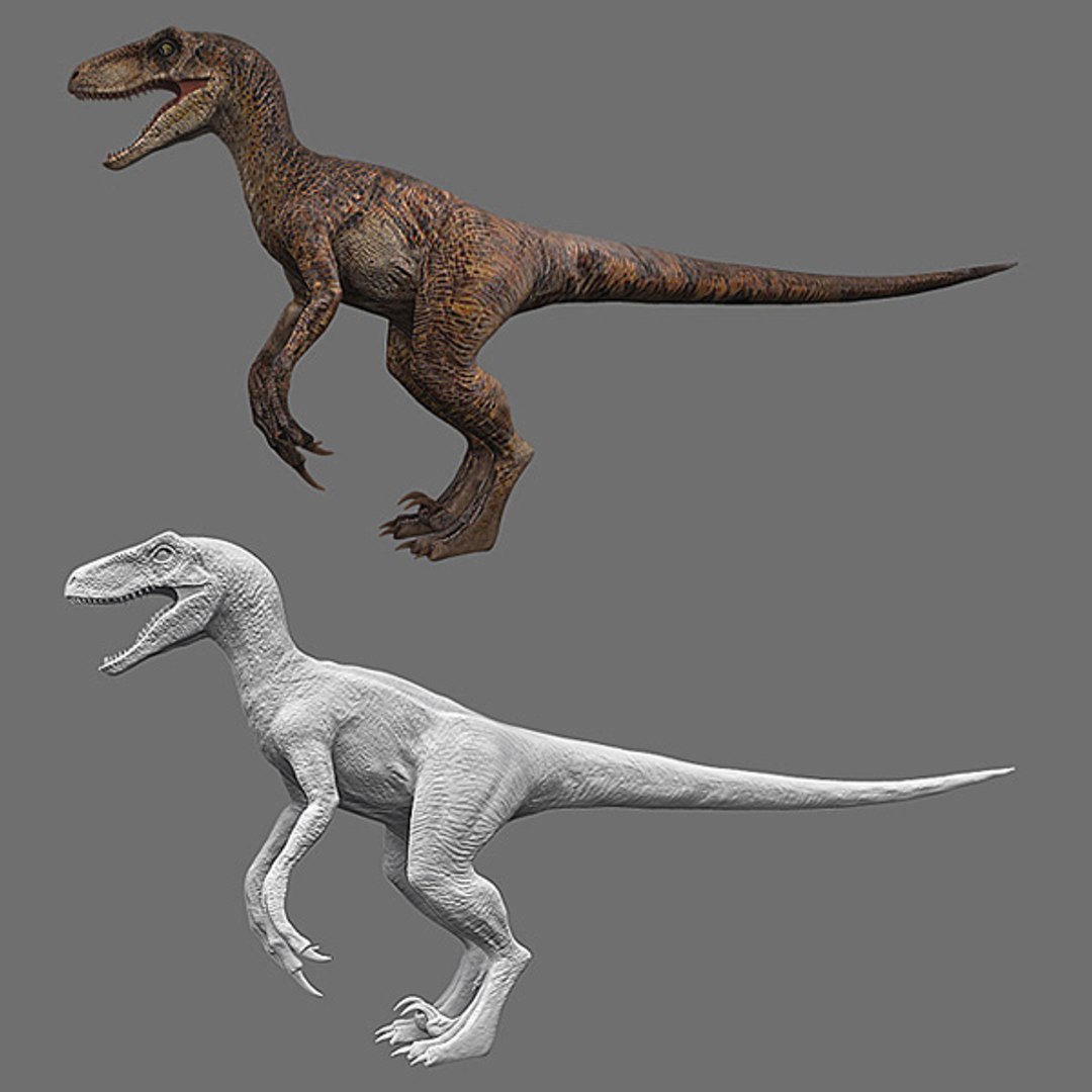 velociraptor jurassic park 3d ma https://p.turbosquid.com/ts-thumb/dw/LKbHil/BuMUurzb/drhyhryrdh/jpg/1316622717/1920x1080/fit_q87/39cdcca20fe6eb91c8f49d4a20ce0470c1ebd062/drhyhryrdh.jpg