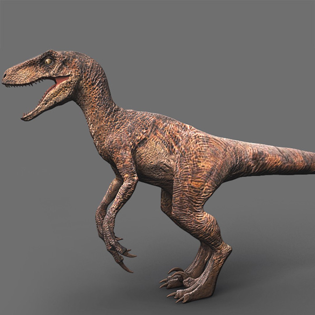 velociraptor jurassic park 3d ma https://p.turbosquid.com/ts-thumb/dw/LKbHil/rrq7X1Ck/ygnyfgf/jpg/1316625816/1920x1080/fit_q87/f4178eb0ec1f447691d1d3a5c2c8348e1605ae02/ygnyfgf.jpg