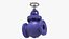Globe Valve