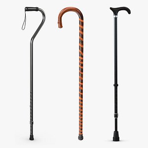 Walking Canes Collection