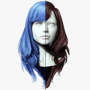 Female Colorable Hair 3D model