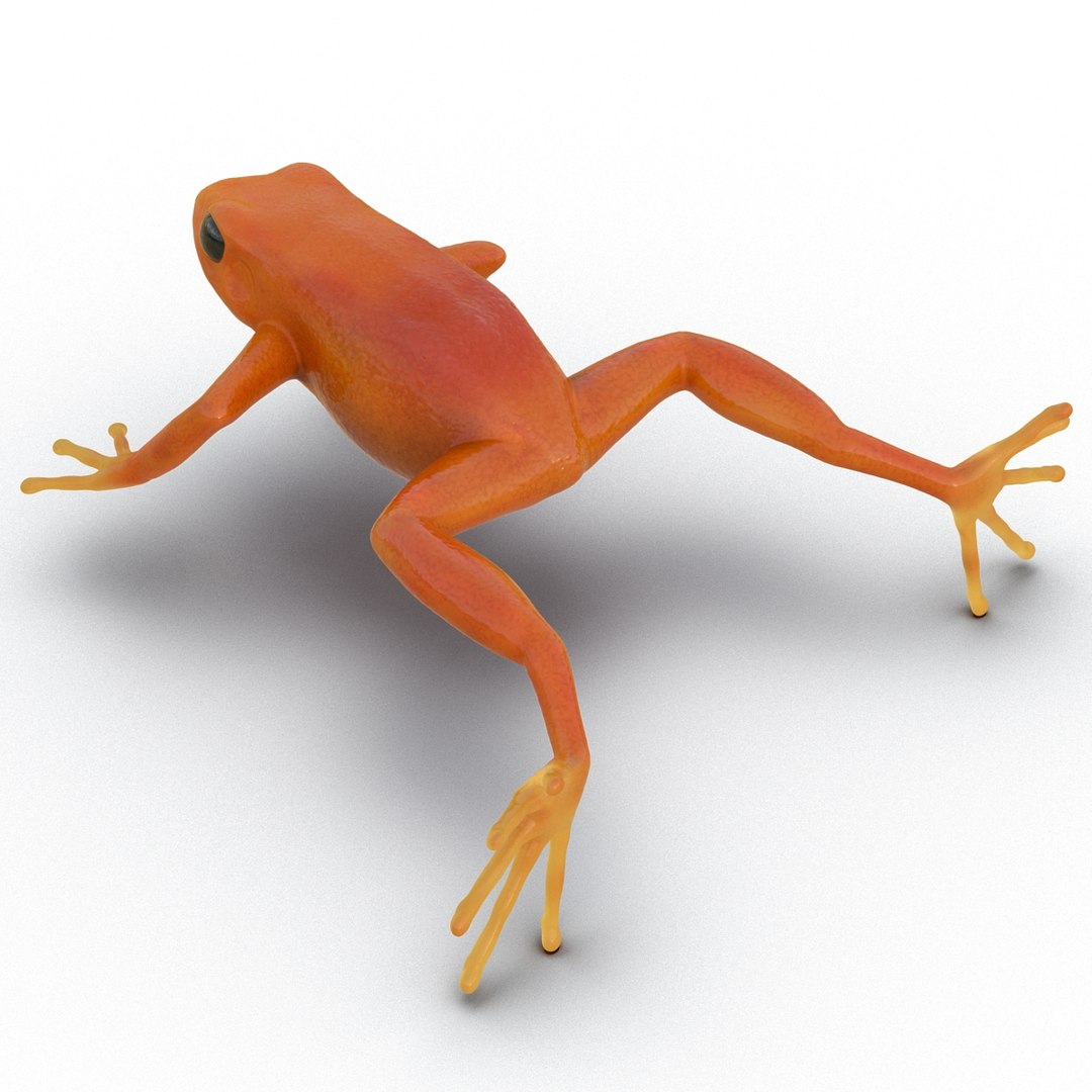 3d mantella frog https://p.turbosquid.com/ts-thumb/dw/dUp0ZK/2LrkJT4R/mantellafrog3dmodel04/jpg/1452417064/1920x1080/fit_q87/7e7c2ee714b0f7bcf72a7e5533aae952b094fc69/mantellafrog3dmodel04.jpg