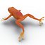 Mantella Frog 3D Model