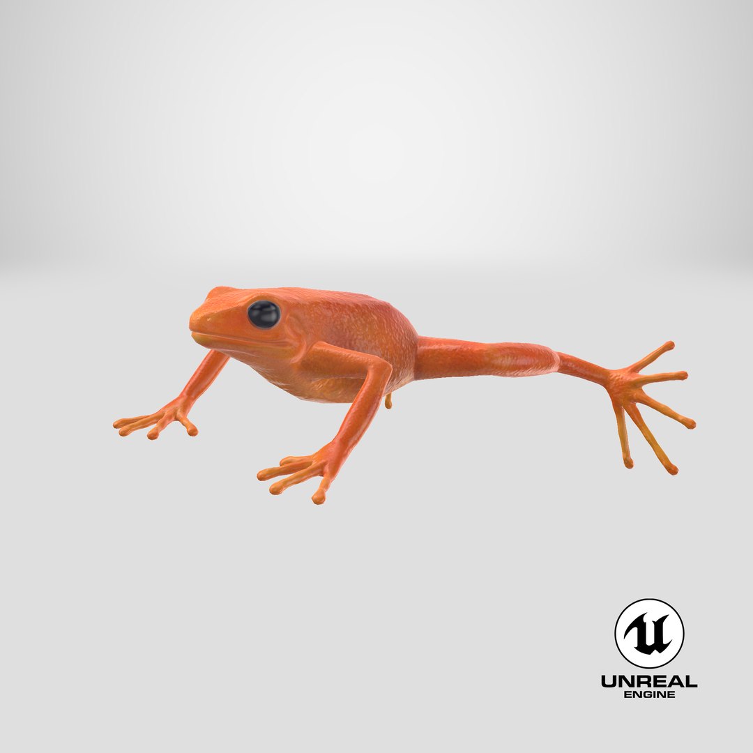 3d mantella frog https://p.turbosquid.com/ts-thumb/dw/dUp0ZK/3V/stemcell_unreal_render/png/1669111516/1920x1080/fit_q87/edb1a9137d0a4aae4f7e97e7ce2c4b5dcc490bbf/stemcell_unreal_render.jpg