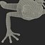 Mantella Frog 3D Model