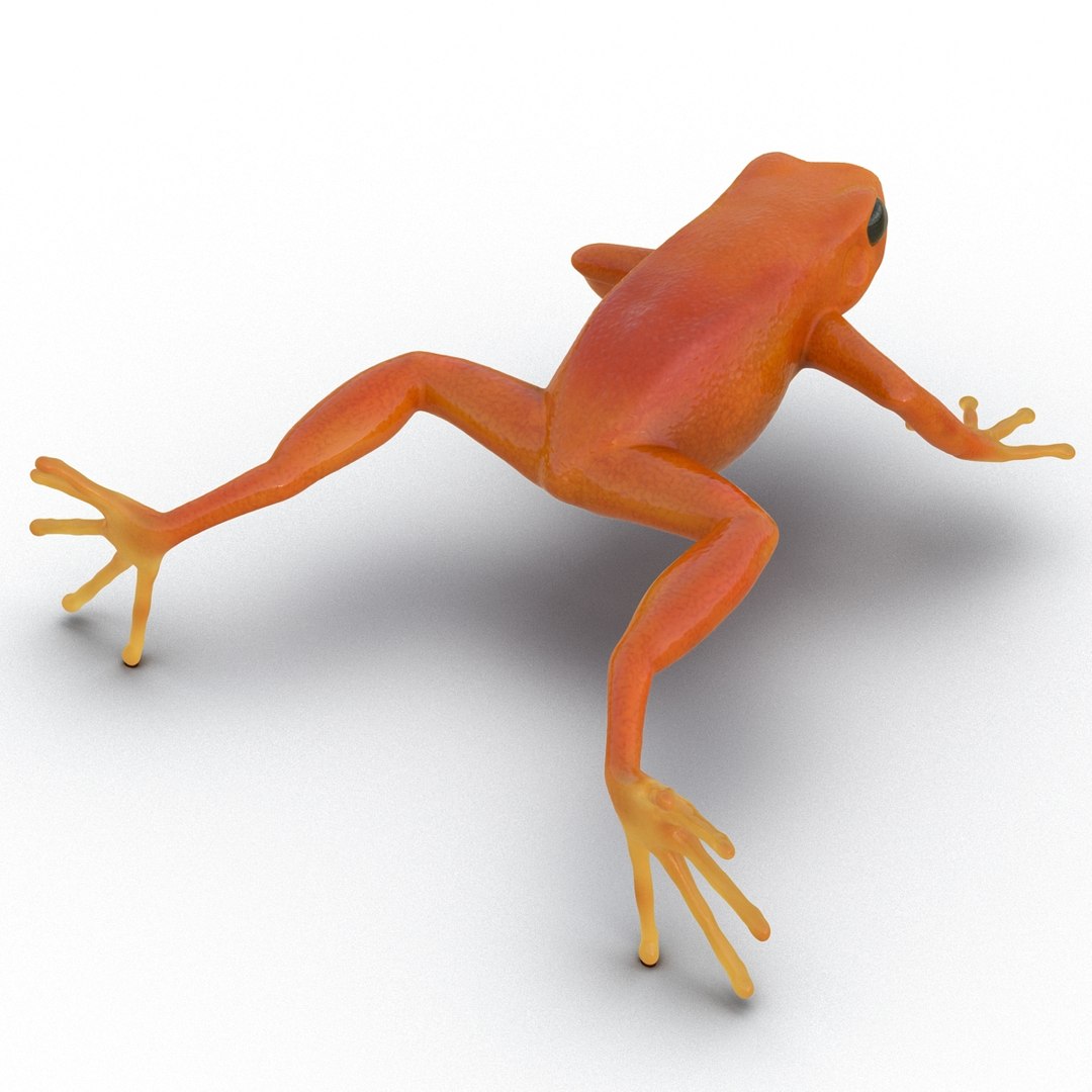 3d mantella frog https://p.turbosquid.com/ts-thumb/dw/dUp0ZK/Fr72y0pG/mantellafrog3dmodel03/jpg/1452417064/1920x1080/fit_q87/f4398baef89411ff55f279ac199aaf7f82fcb9b4/mantellafrog3dmodel03.jpg