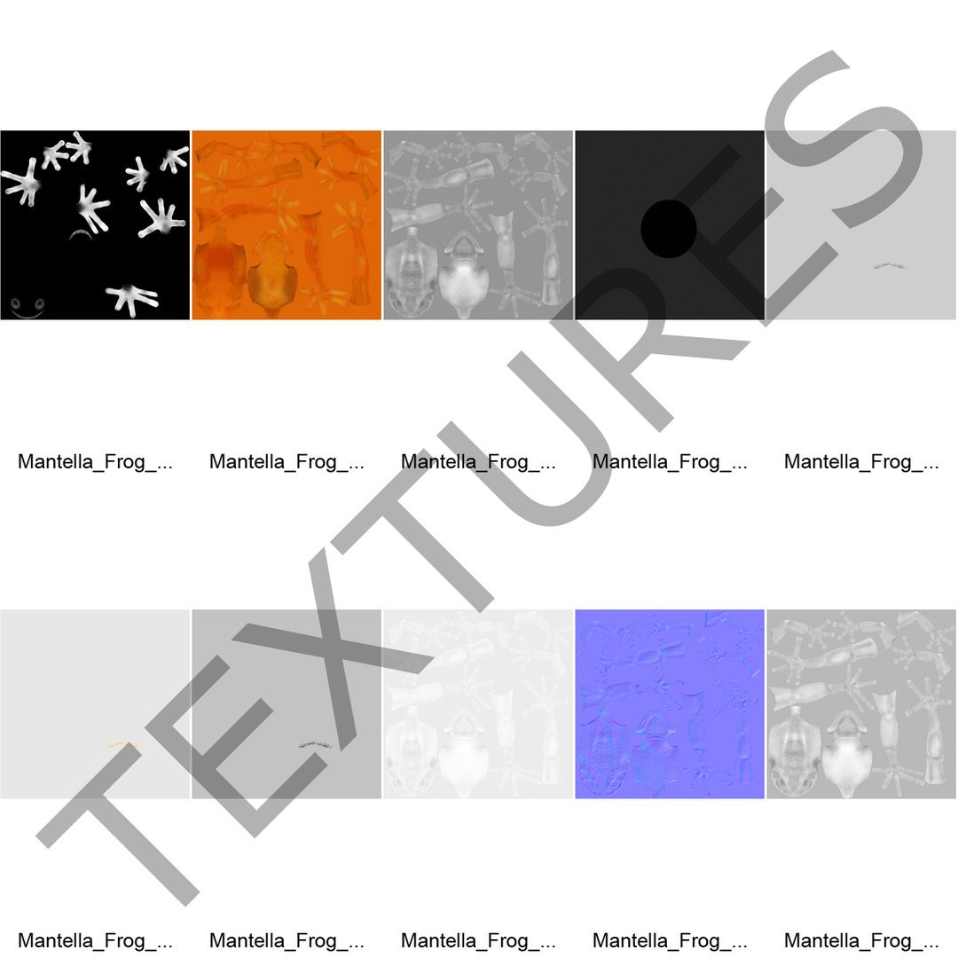 3d mantella frog https://p.turbosquid.com/ts-thumb/dw/dUp0ZK/G2kfsjDa/mantellafrog3dmodel20/jpg/1452417065/1920x1080/fit_q87/8a14ed464f3216ccf170ff1b8f33611bcfb6f95b/mantellafrog3dmodel20.jpg