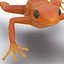 Mantella Frog 3D Model