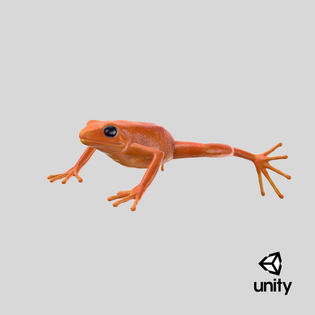 3d mantella frog https://p.turbosquid.com/ts-thumb/dw/dUp0ZK/HJ/stemcell_unity_render/png/1669111514/1920x1080/fit_q87/7880bcc77c736f40b919e3580a29654416fc924e/stemcell_unity_render.jpg