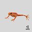 Mantella Frog 3D Model