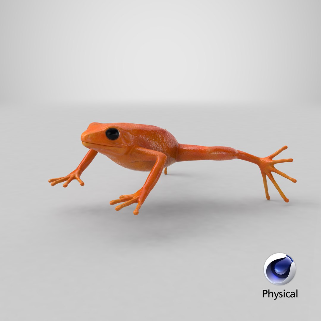 3d mantella frog https://p.turbosquid.com/ts-thumb/dw/dUp0ZK/TH/stemcell_cinema_4d_physical_render/png/1669111511/1920x1080/fit_q87/a01dbfedd95a21c86649b303d6f05b92b85186b9/stemcell_cinema_4d_physical_render.jpg