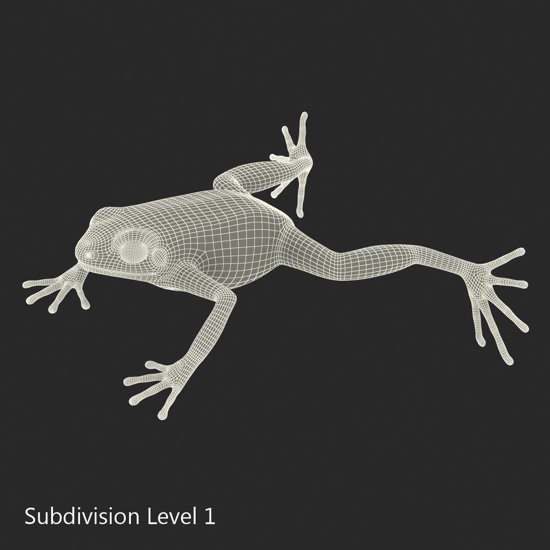 3d mantella frog https://p.turbosquid.com/ts-thumb/dw/dUp0ZK/UFsaSCUD/mantellafrog3dmodel18/jpg/1452417065/1920x1080/fit_q87/5b54f59cfc49b30c16ef37b7574d00ae221c62dd/mantellafrog3dmodel18.jpg