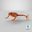 Mantella Frog 3D Model