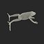 Mantella Frog 3D Model
