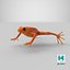 Mantella Frog 3D Model