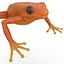 Mantella Frog 3D Model