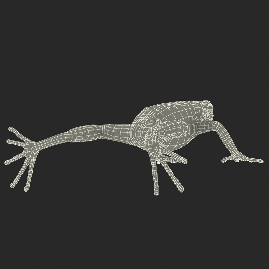 3d mantella frog https://p.turbosquid.com/ts-thumb/dw/dUp0ZK/cUi1DNgn/mantellafrog3dmodel25/jpg/1452417065/1920x1080/fit_q87/b15b27f47e6090955bedd5963b030c225ab578bf/mantellafrog3dmodel25.jpg