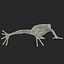 Mantella Frog 3D Model