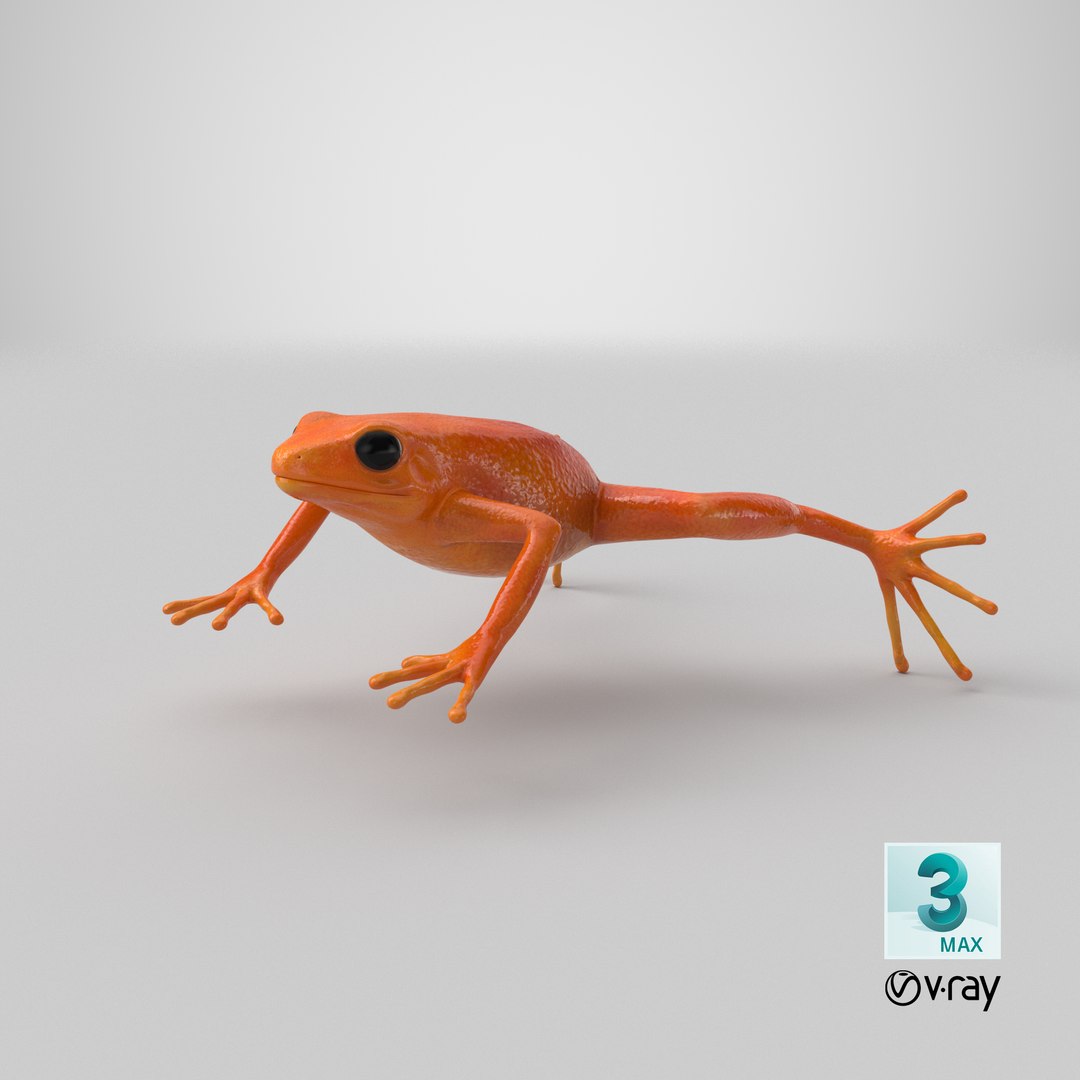 3d mantella frog https://p.turbosquid.com/ts-thumb/dw/dUp0ZK/h5/stemcell_max_vray_render/png/1669111521/1920x1080/fit_q87/49da1e76bfbbbfe36818975329d37b09d3d126f0/stemcell_max_vray_render.jpg