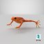 Mantella Frog 3D Model