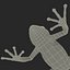 Mantella Frog 3D Model