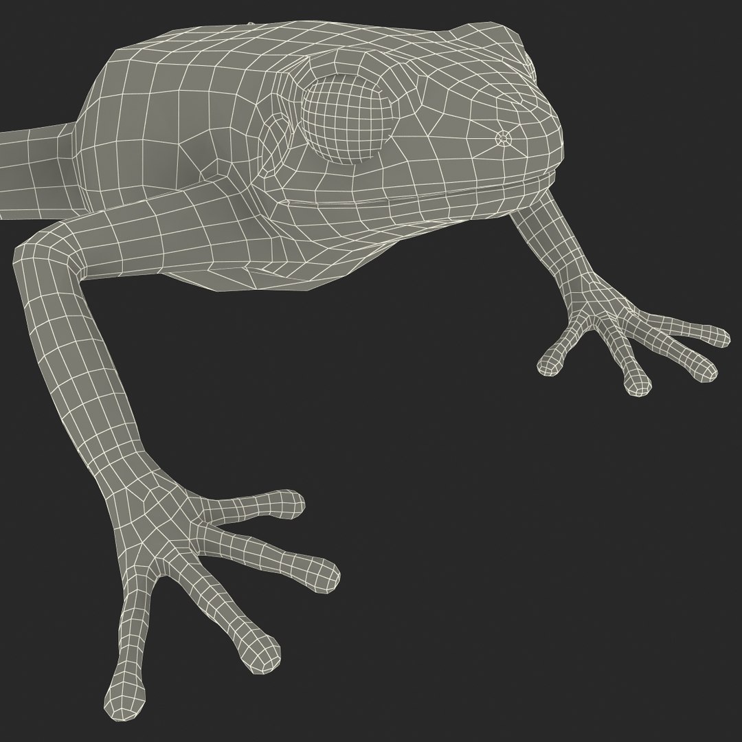 3d mantella frog https://p.turbosquid.com/ts-thumb/dw/dUp0ZK/jOm1z6ix/mantellafrog3dmodel30/jpg/1452417066/1920x1080/fit_q87/cfb489a082985cbb49096619e6d479363a48c6a6/mantellafrog3dmodel30.jpg