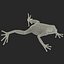 Mantella Frog 3D Model