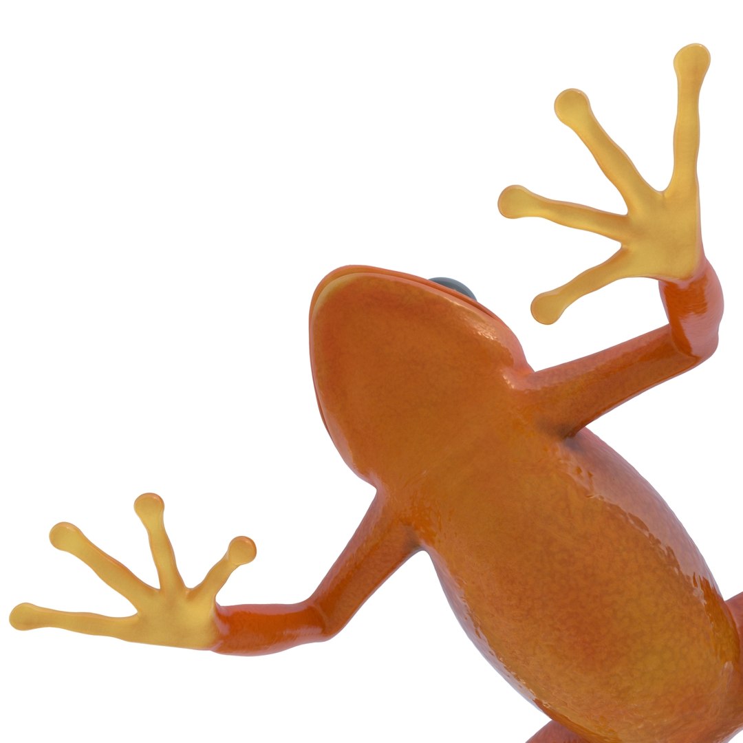 3d mantella frog https://p.turbosquid.com/ts-thumb/dw/dUp0ZK/pkCXfu2v/mantellafrog3dmodel15/jpg/1452417064/1920x1080/fit_q87/d1527bb476ea4d342ac52318481964e96d231237/mantellafrog3dmodel15.jpg
