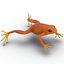 Mantella Frog 3D Model