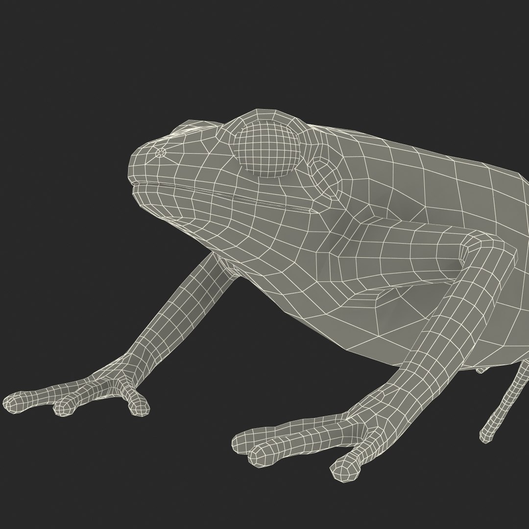 3d mantella frog https://p.turbosquid.com/ts-thumb/dw/dUp0ZK/sVtgo9mZ/mantellafrog3dmodel27/jpg/1452417065/1920x1080/fit_q87/eafae460ef65676cd0344283865df5166ec98110/mantellafrog3dmodel27.jpg