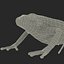 Mantella Frog 3D Model